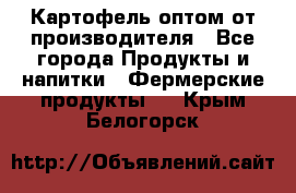 Картофель оптом от производителя - Все города Продукты и напитки » Фермерские продукты   . Крым,Белогорск